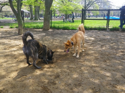 IMGP0809.JPG