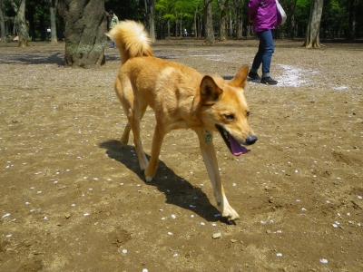 IMGP0810.JPG