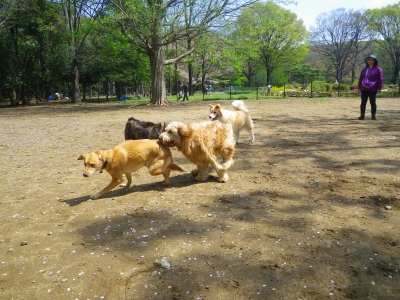 IMGP0812.JPG