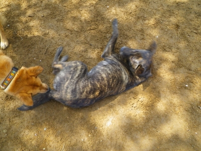 IMGP0816.JPG