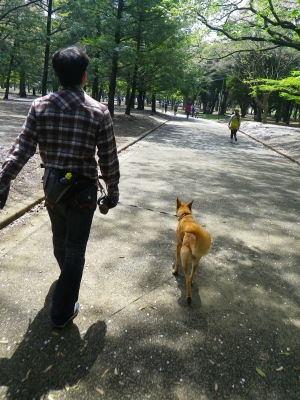 IMGP0820.JPG