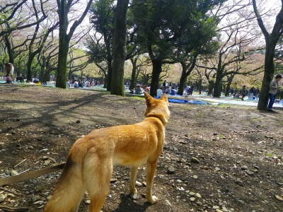 IMGP0824.JPG