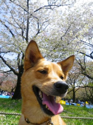 IMGP0827.JPG