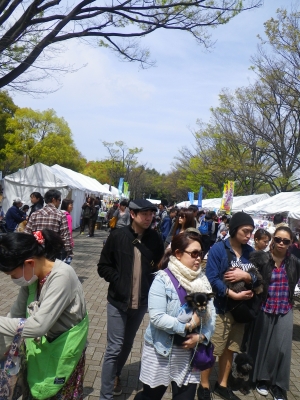 IMGP0832.JPG