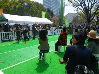 IMGP0833.JPG