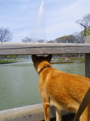 IMGP0836.JPG