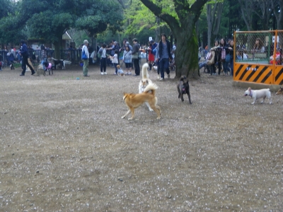 IMGP0872.JPG