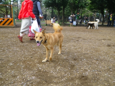 IMGP0874.JPG
