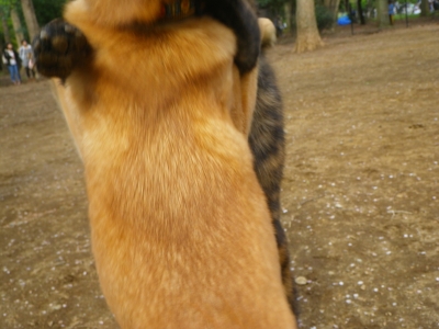 IMGP0879.JPG
