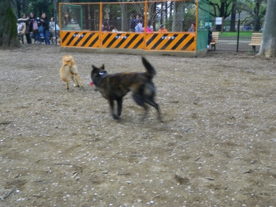 IMGP0881.JPG