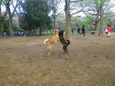 IMGP0884.JPG