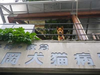 IMGP1937.JPG
