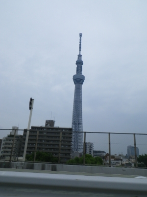 IMGP2201.JPG