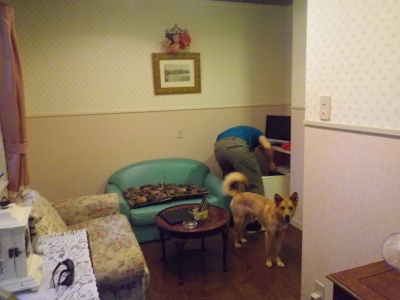 IMGP2221.JPG