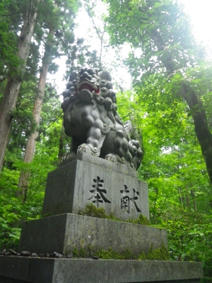 IMGP2657.JPG