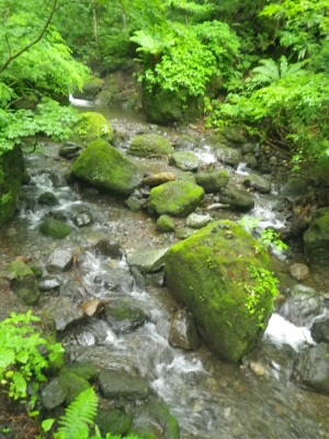 IMGP2665.JPG
