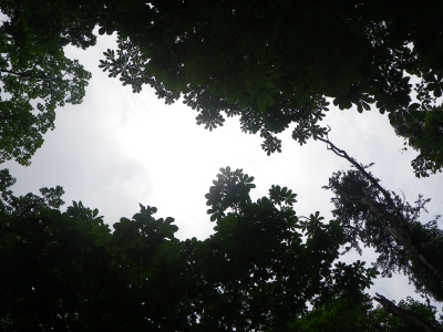 IMGP2676.JPG