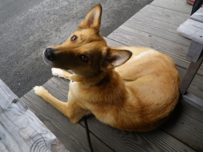 IMGP2689.JPG