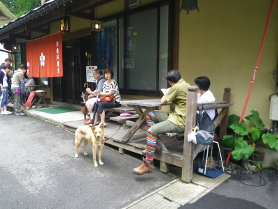 IMGP2691.JPG