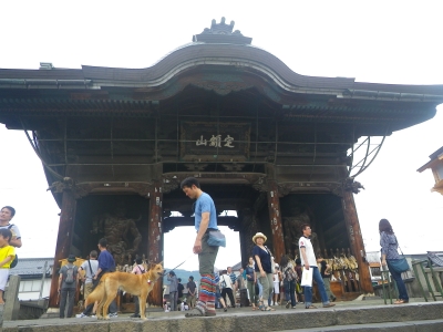 IMGP2712.JPG