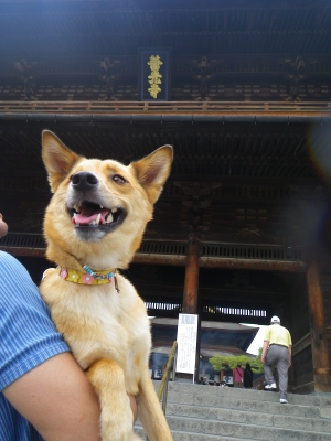 IMGP2724.JPG