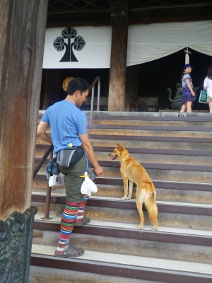 IMGP2731.JPG
