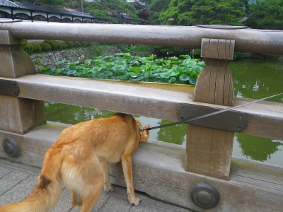 IMGP2733.JPG