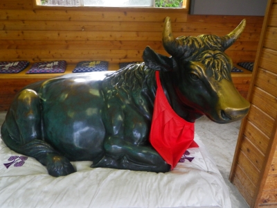 IMGP2735.JPG
