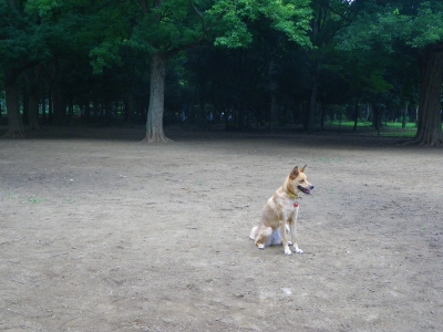IMGP2897.JPG
