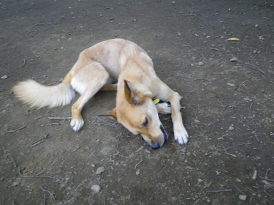 IMGP2901.JPG