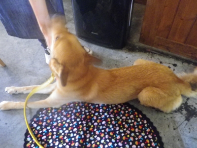 IMGP2913.JPG