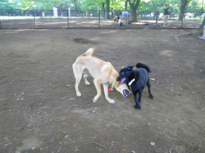 IMGP2915.JPG
