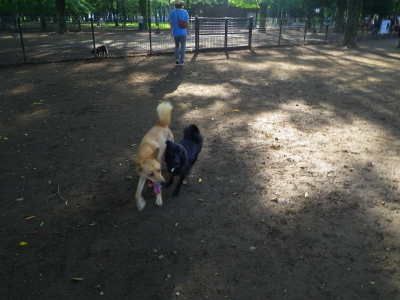 IMGP2921.JPG