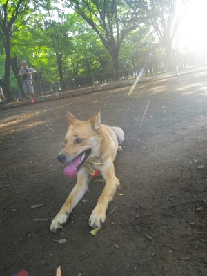 IMGP2924.JPG