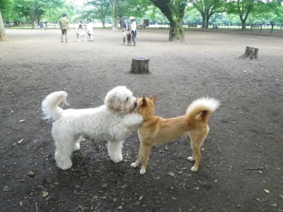 IMGP2931.JPG