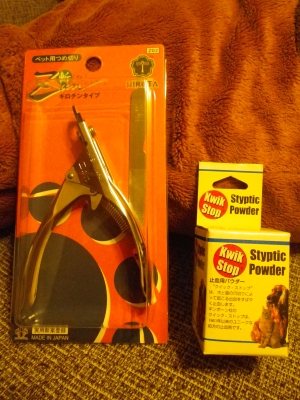 IMGP3842.JPG