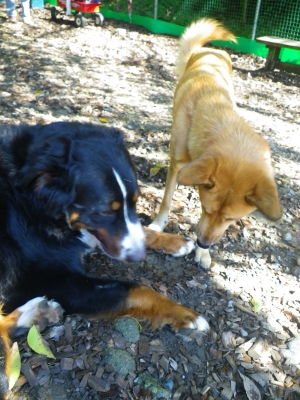 IMGP3885.JPG