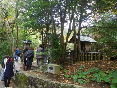 IMGP4444.JPG