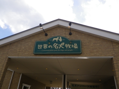 IMGP5972.JPG