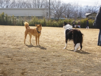 IMGP5960.JPG