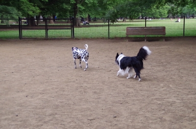 IMGP3551.JPG