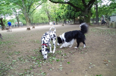 IMGP3561.JPG