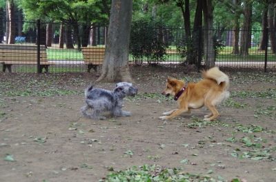 IMGP3573.JPG