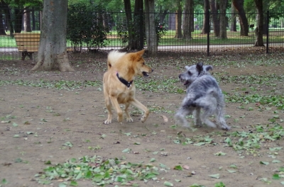 IMGP3574.JPG