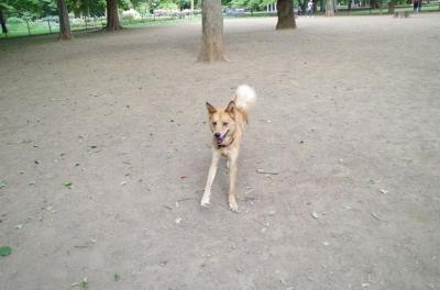 IMGP3577.JPG