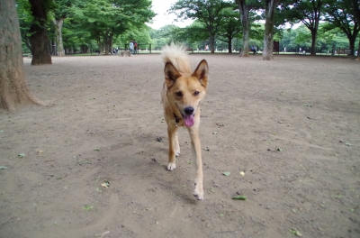 IMGP3583.JPG