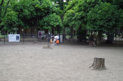 IMGP3589.JPG