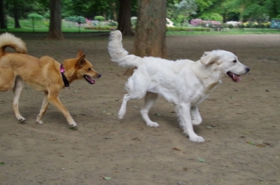 IMGP3595.JPG