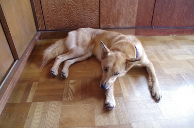 IMGP4627.JPG