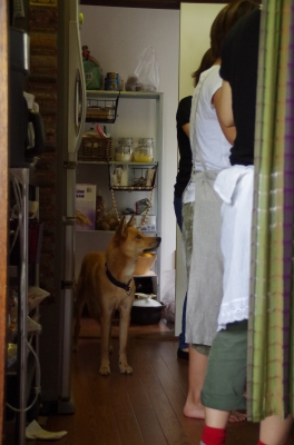 IMGP4635.JPG